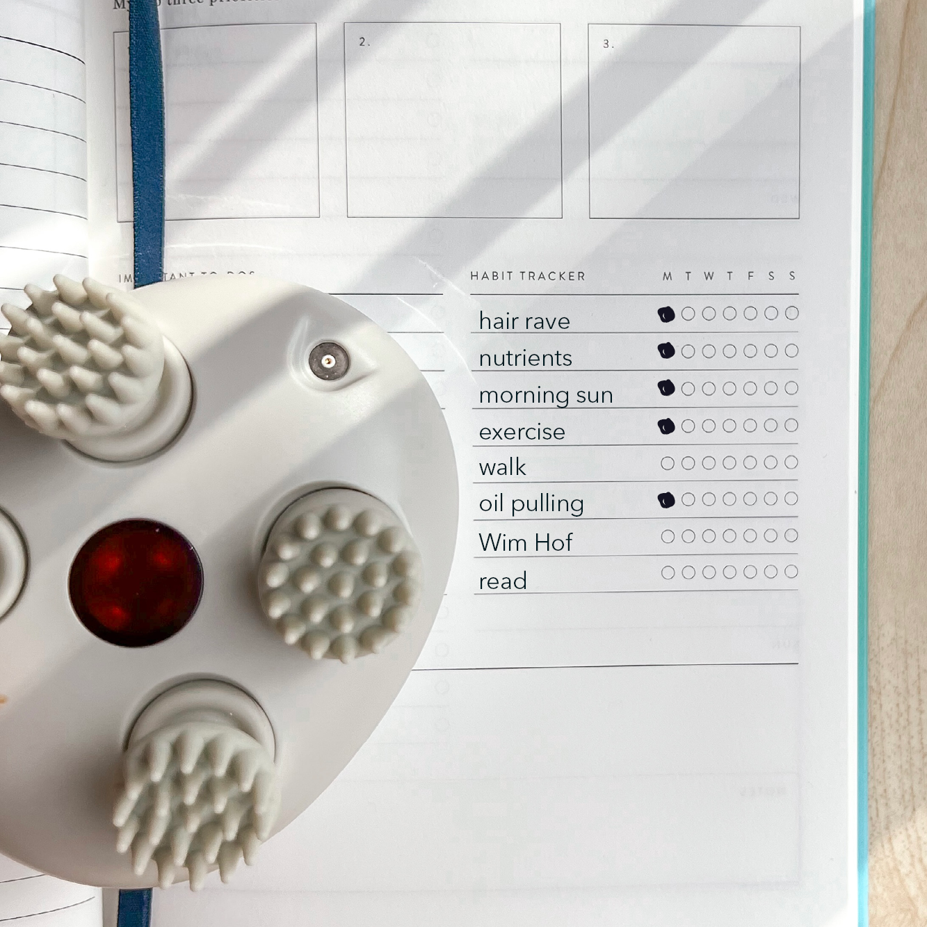 FestiveHeaven Hair Growth Massager