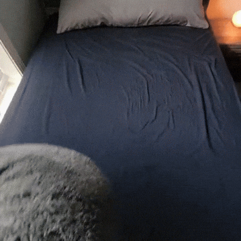 Waterproof Blanket Couples Blanket