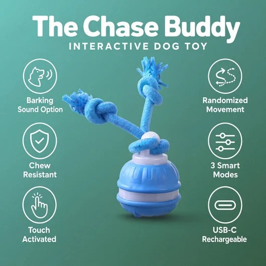 Smart Motion Pet Ball - The Chase Buddy