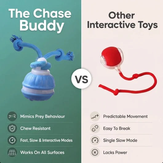 Smart Motion Pet Ball - The Chase Buddy