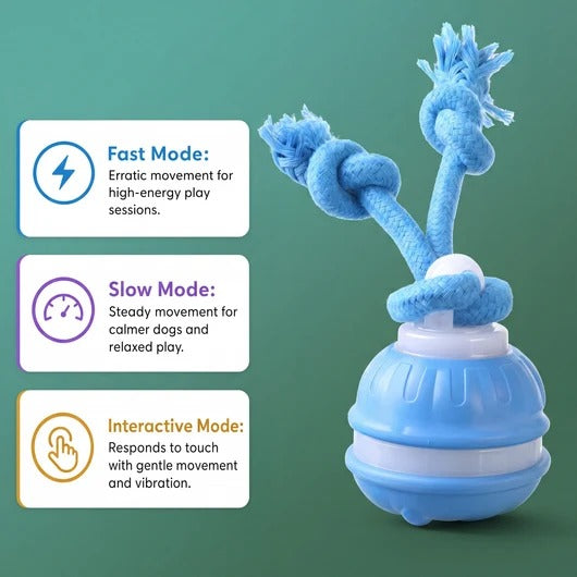 Smart Motion Pet Ball - The Chase Buddy