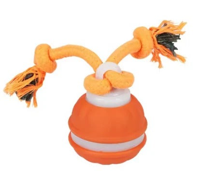 Smart Motion Pet Ball - The Chase Buddy