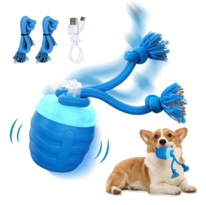 Smart Motion Pet Ball - The Chase Buddy
