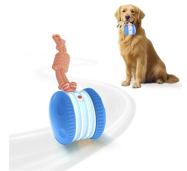 Smart Motion Pet Ball - The Chase Buddy